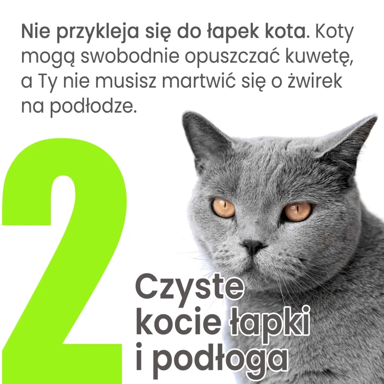 kuweta-xxl-dla-duzych-kotow-zeodeo