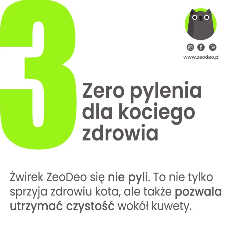 duza-kuweta-dla-kota-xxl-zeodeo