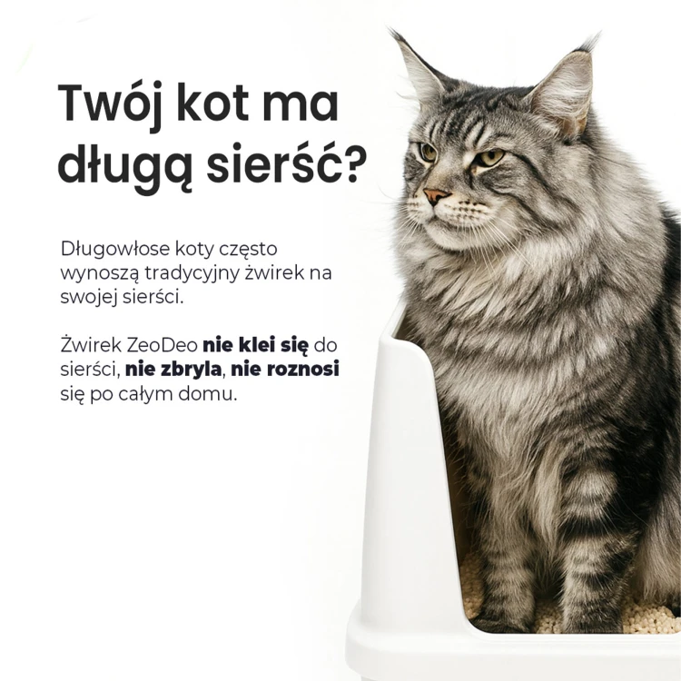 kuweta-xxl-dla-kota-z-wysokimi-sciankami-zeodeo
