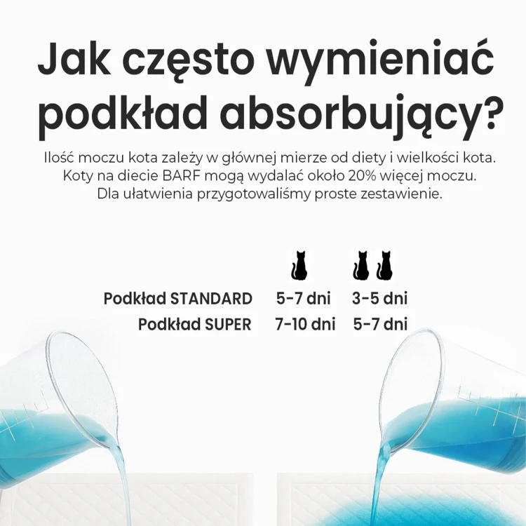 Obszar kompozycji 3.webp