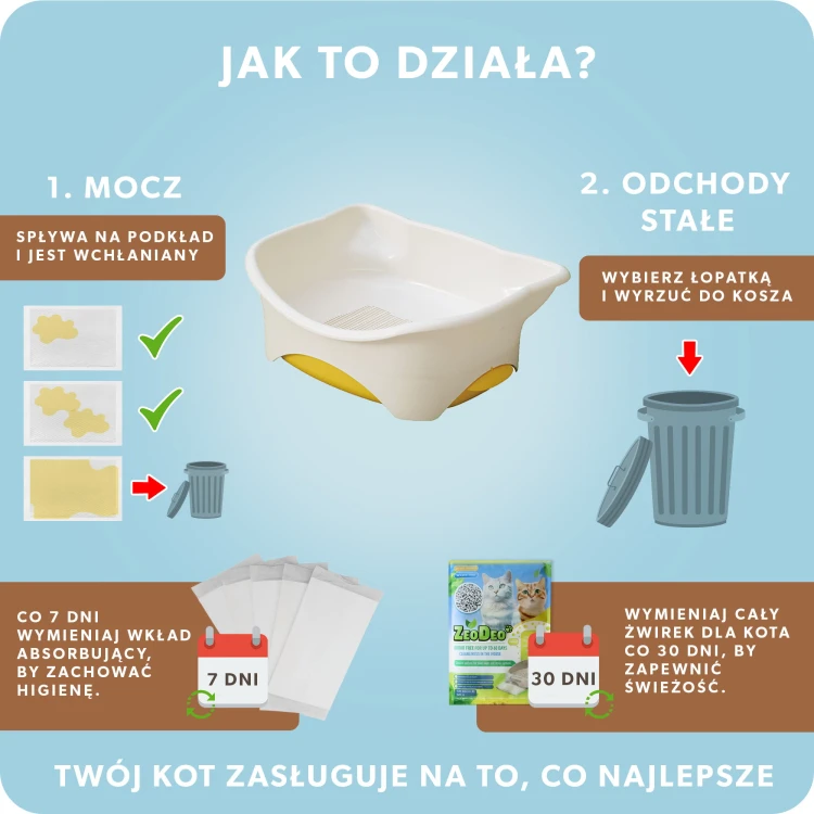 Obszar kompozycji 1 kopia 2.jpg